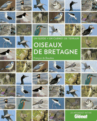 oiseaux de bretagne
