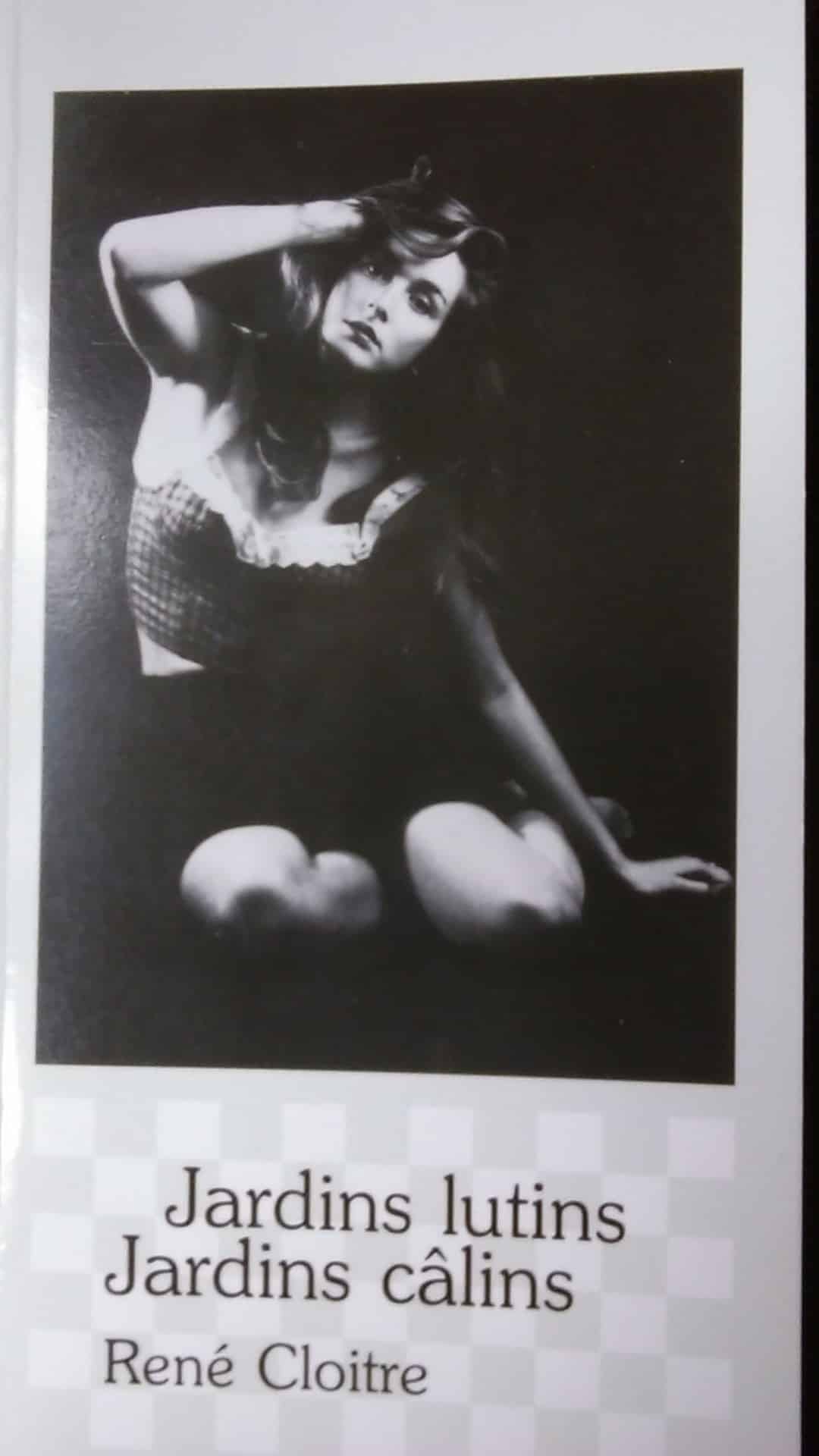 Depuis, René Cloitre ne cesse plus d’écrire : « des poèmes noirs d’abord, puis, l’abcès crevé, naîtront des poèmes qui diront l’amour de la Vie et les travaux et les jours. ». De 1986 à nos jours, 18 recueils sont sortis de sa plume. Ses mots « partent du noir vers la lumière », dans un « langage simple », revendiqué, pour privilégier « les images et la musique des mots » : tout ingrédients qui importent selon lui en poésie. Ses poèmes chantent la vie quotidienne et sont « comme une sorte d’arrêt sur image ». Sans être un spécialiste de la poésie érotique, René Cloitre reconnaît que « la femme est souvent source d'inspiration. », en particulier dans Jardins lutins Jardins câlins (1990) et Deux sous d’amour (2007).