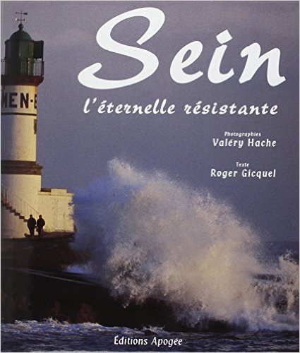 sein eternelle resistante