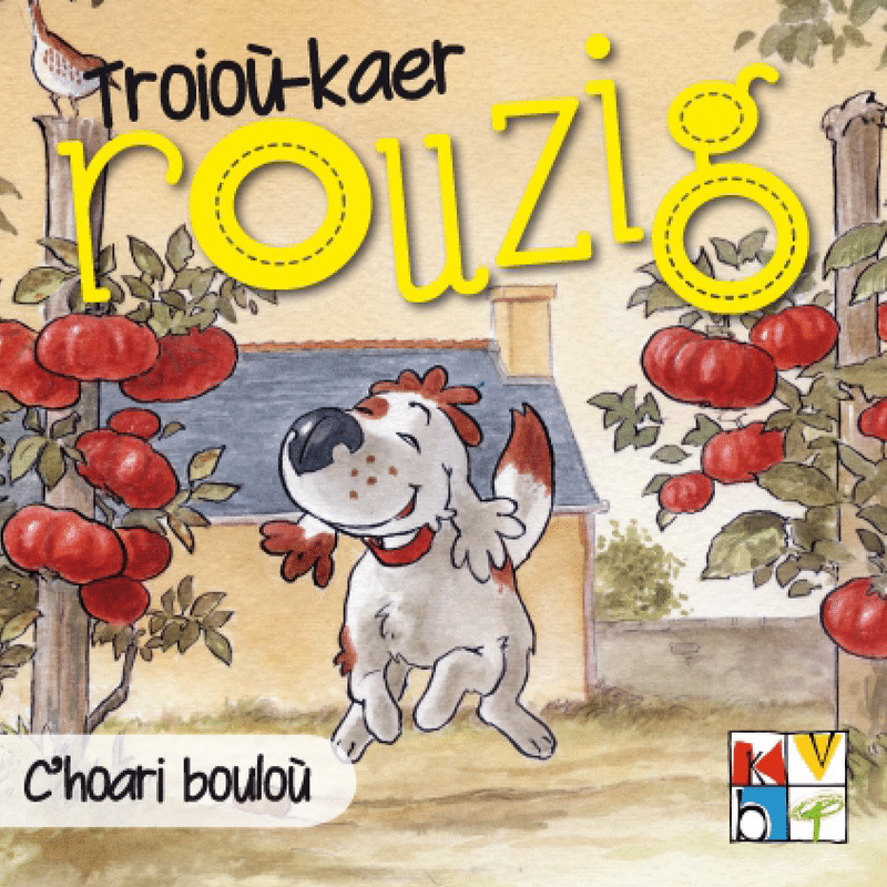 C'hoari bouloù - Troioù-kaer Rouzig