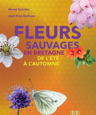 fleurs sauvages en Bretagne