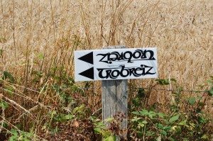 Entre poisson et dragon