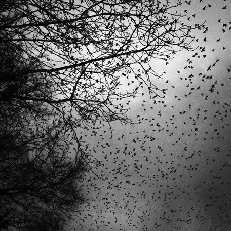 s'habituer à l'obscurité