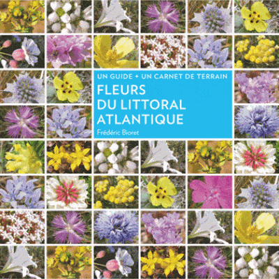 fleurs du littoral atantique