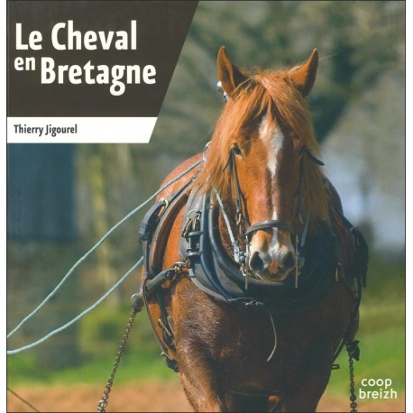 le cheval en bretagne