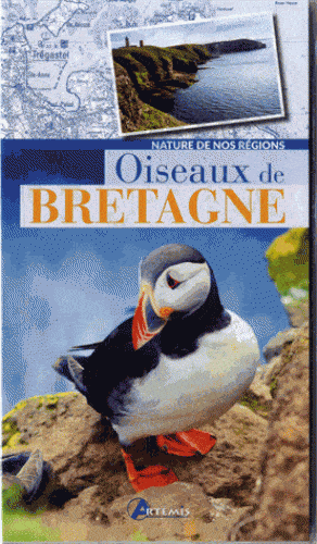 oiseaux de bretagne