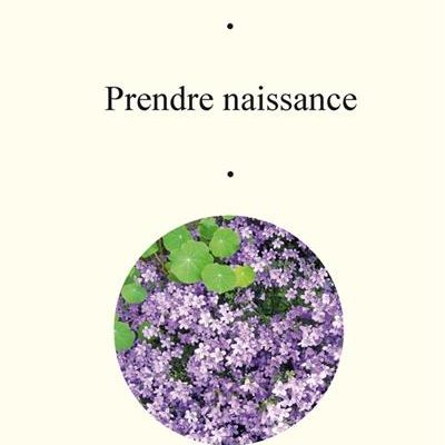 prendre naissance
