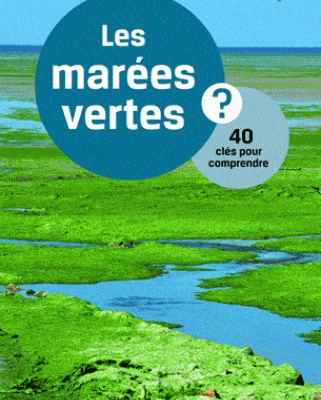 les marees vertes