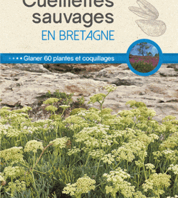 cueillettes sauvages