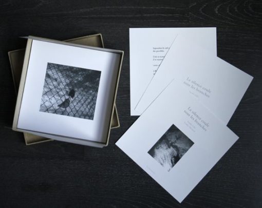 Le silence coule sous les branches