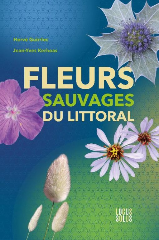 fleurs sauvages du littoral