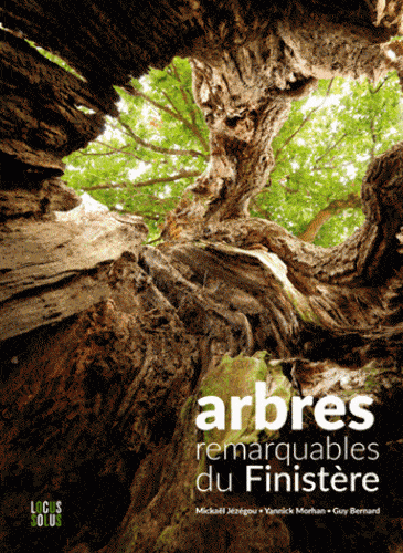 arbres remarquables