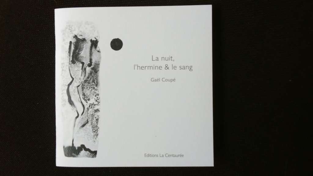 La nuit, l'hermine et le sang