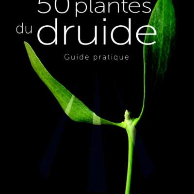 50 plantes du druide