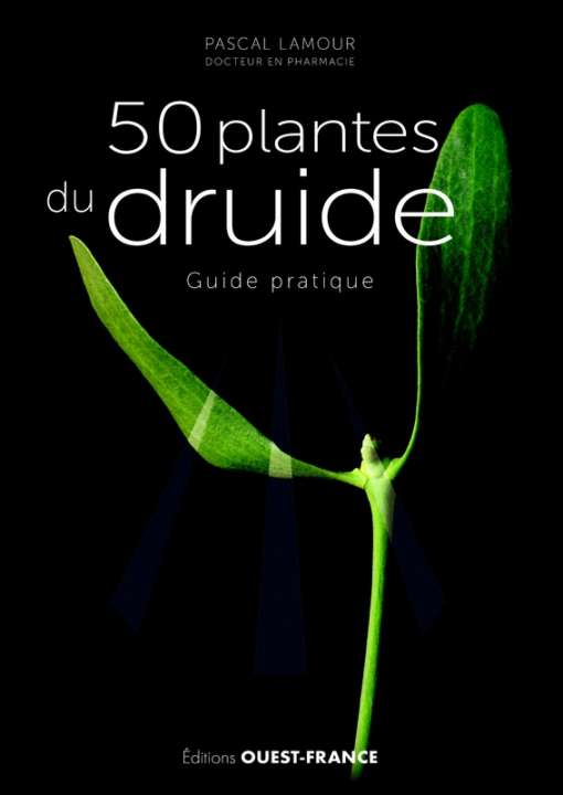 50 plantes du druide