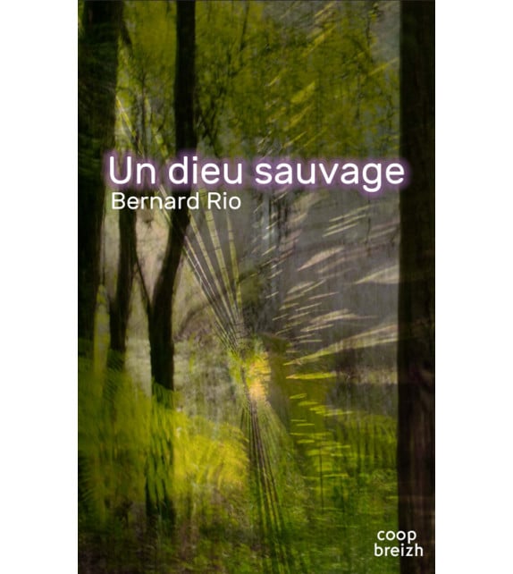 Un dieu sauvage