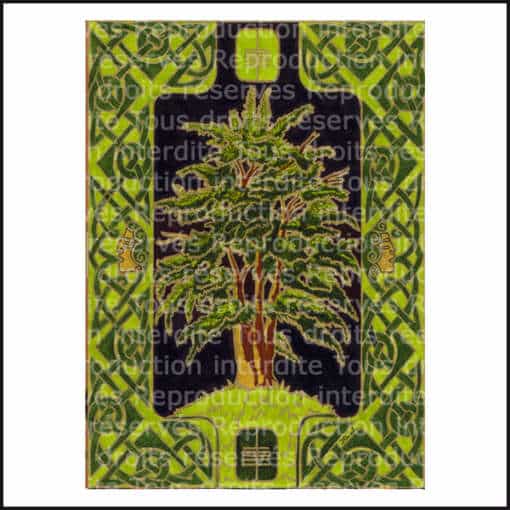 Carte calendrier celtique des arbres: Ioho-l'if Veille du solstice d'hiver