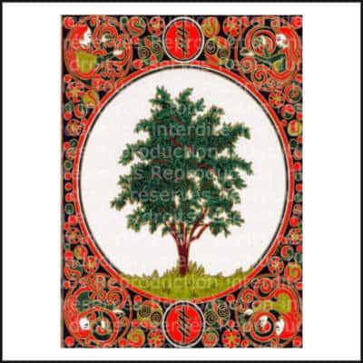 Carte calendrier celtique des arbres: Ruis-le sureau