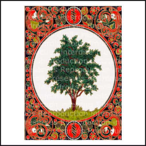 Carte calendrier celtique des arbres: Ruis-le sureau