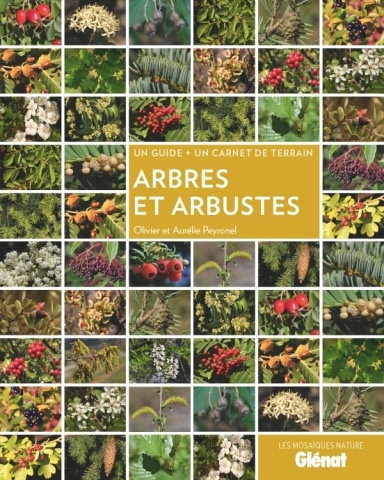 Arbres et arbustes