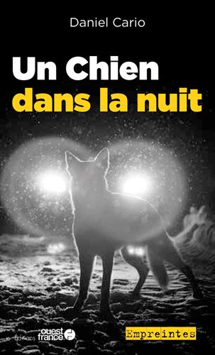 Un chien dans la nuit