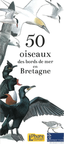 50 oiseaux des bords de mer en Bretagne
