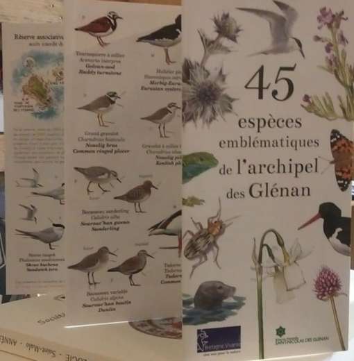 45 espèces emblématiques de l'archipel des Glénan