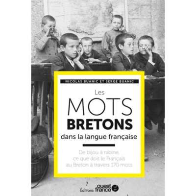 Les mots bretons dans la langue française