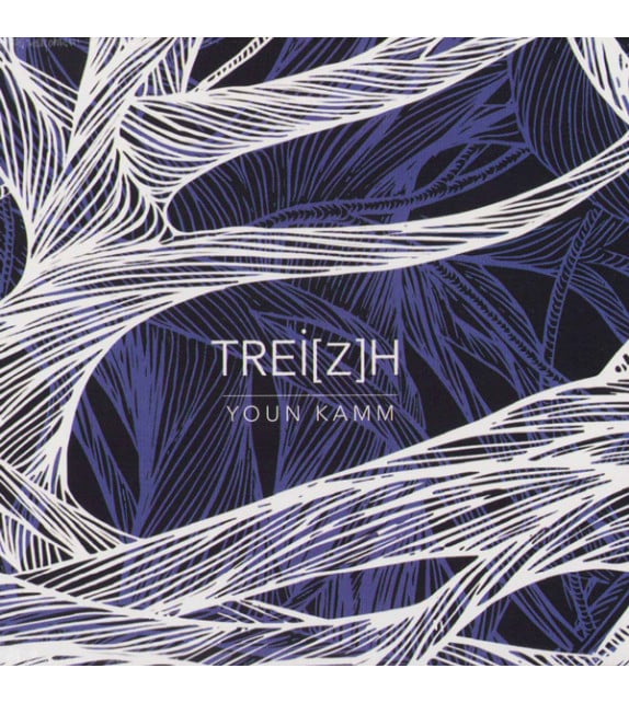 Treizh -Youn Kamm