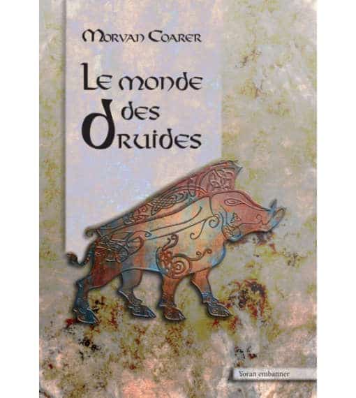 Le monde des druides