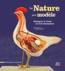 La nature pour modèle