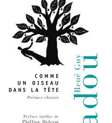 Comme un oiseau dans la tête