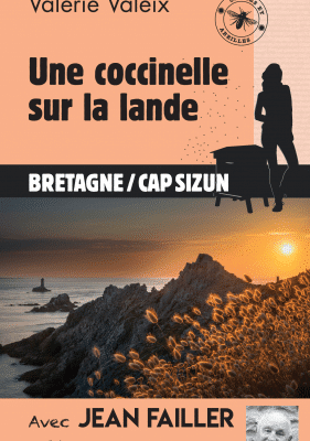 Une coccinelle sur la lande