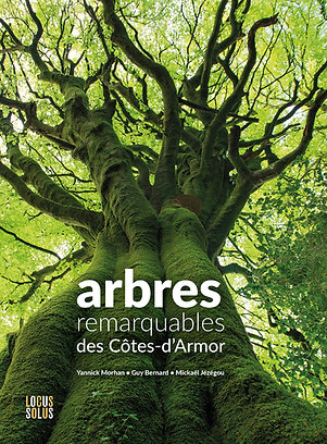 Arbres remarquables des Côtes d'Armor