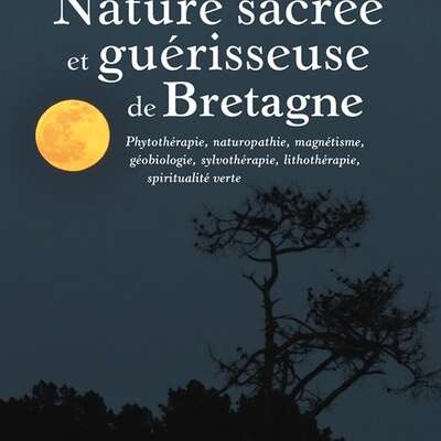 Nature sacrée et guérisseuse de Bretagne
