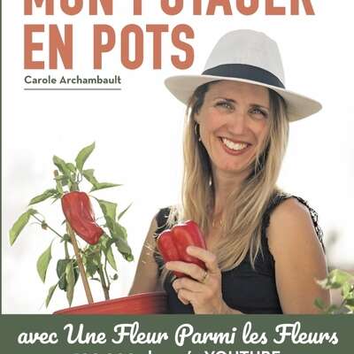 Mon potager en pots