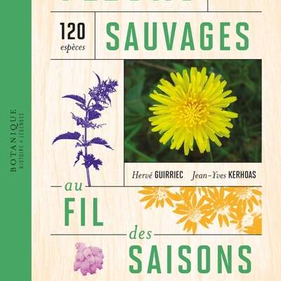 Fleurs sauvages au fil des saisons