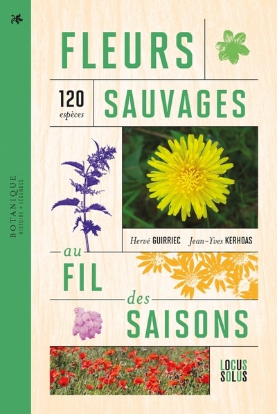 Fleurs sauvages au fil des saisons