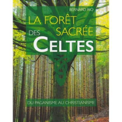 La forêt sacrée des Celtes