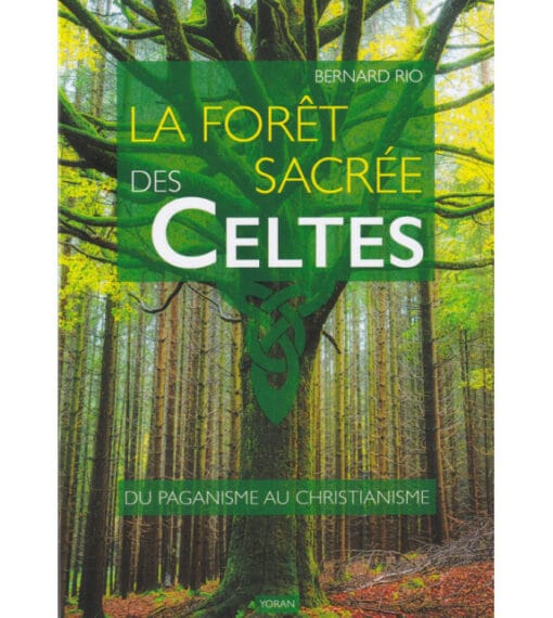 La forêt sacrée des Celtes