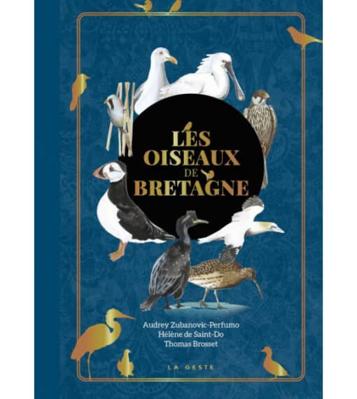 Les oiseaux de Bretagne