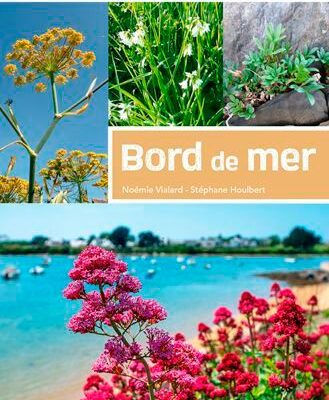 Cueillette gourmande - bord de mer