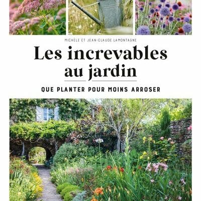 Les increvables au jardin