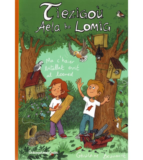 Tiezigoù Aela ha Lomig