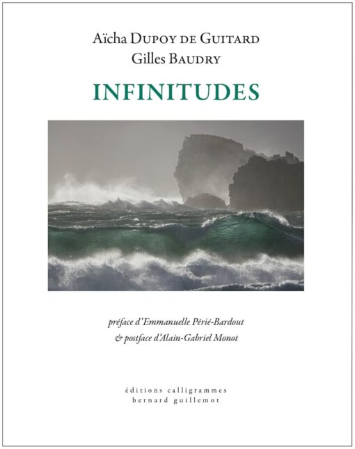 Infinitudes - Gilles Baudry / Aïcha Dupoy de Guitard