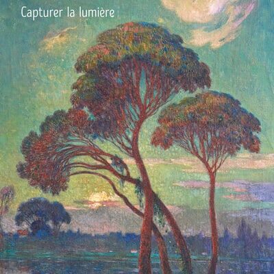 Ferdinand du Puigaudeau - capturer la lumière