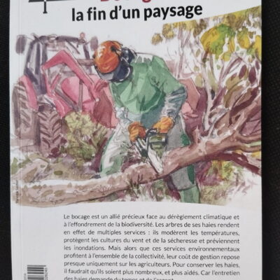 Bocage: la fin d'un paysage