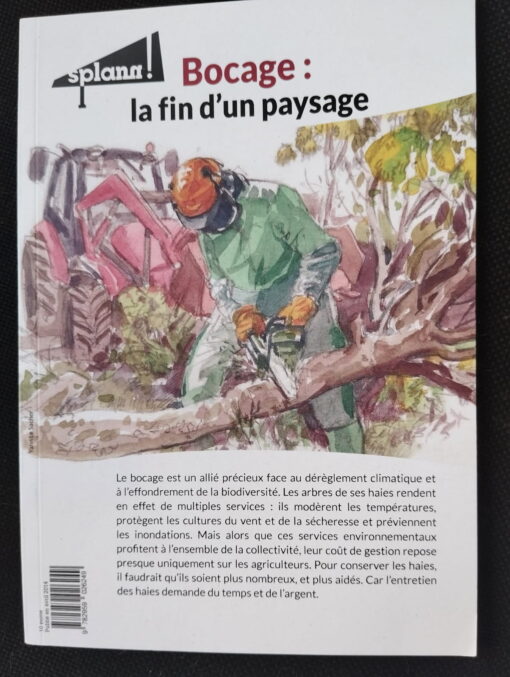 Bocage: la fin d'un paysage