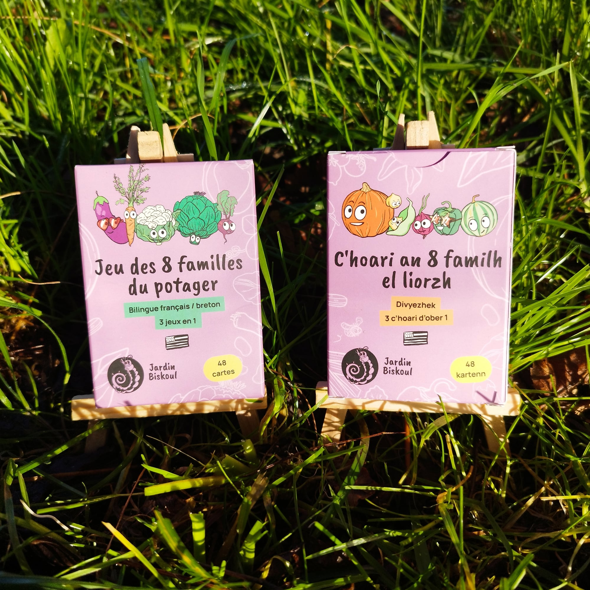 c'hoari an 8 familh el liorzh