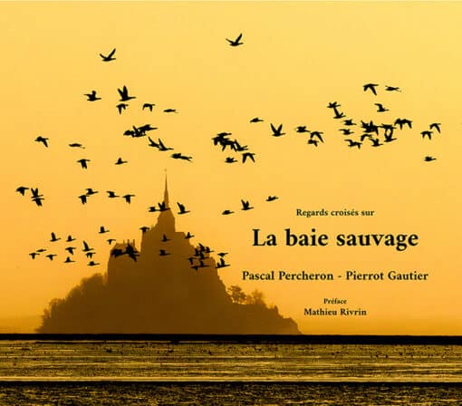regards croisés sur la baie sauvage